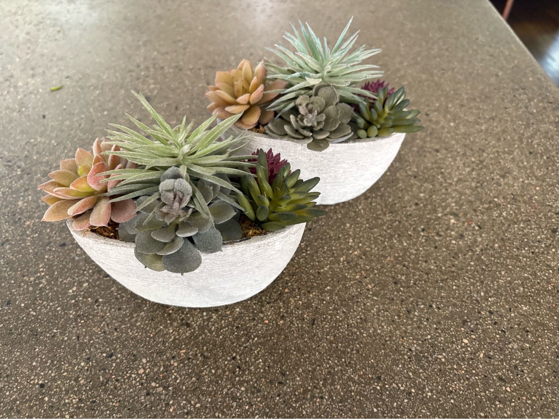Fake succulent plants