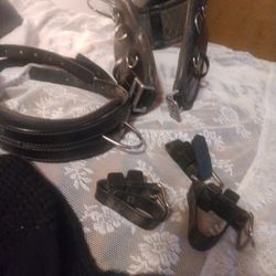 Horse Equipment Collar, Fly Veil And More