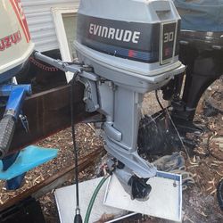 Evinrude 30 Short Shaft Tiller 