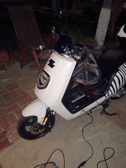 Zebra Scooter All Electric
