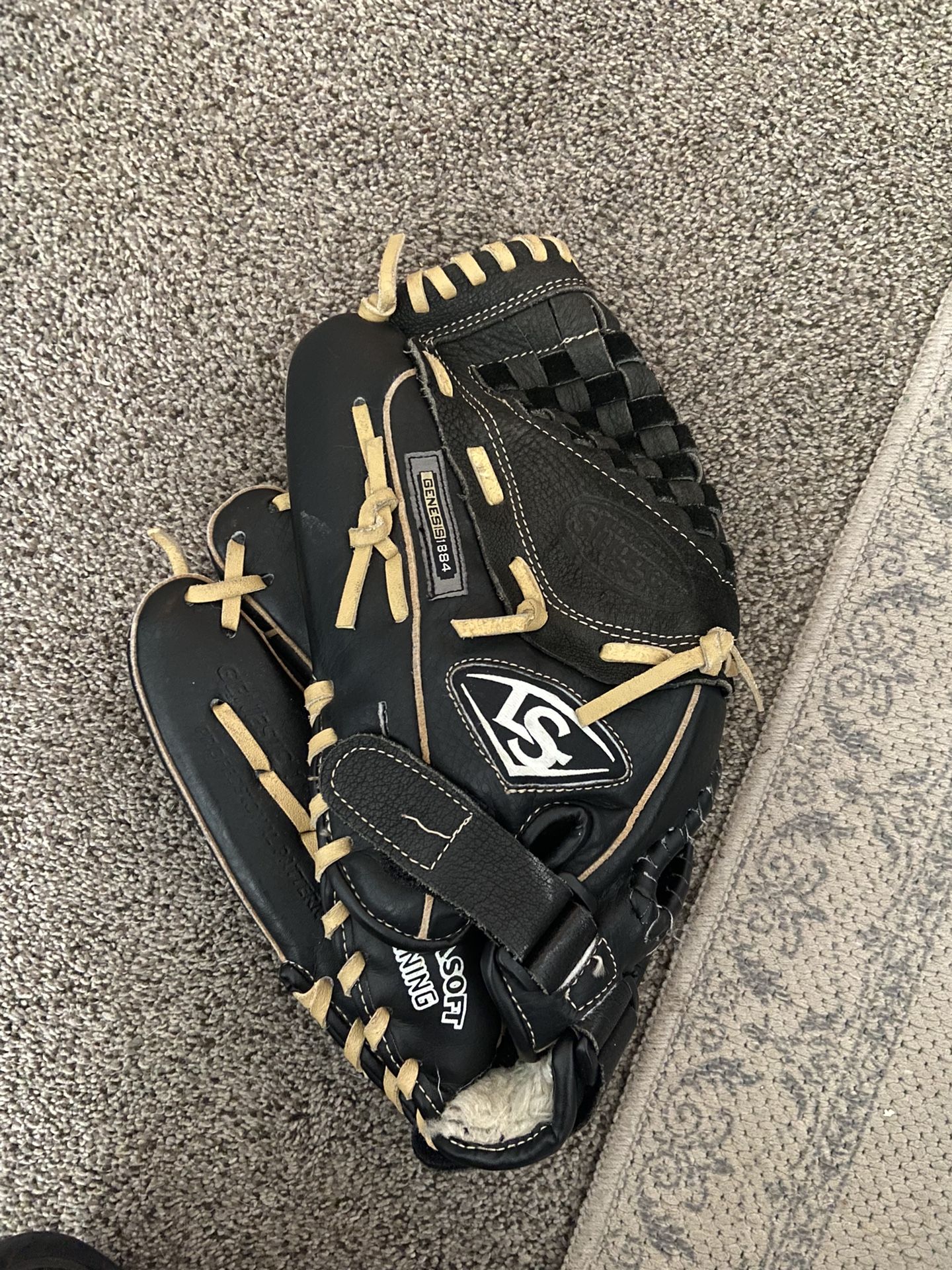 softball glove