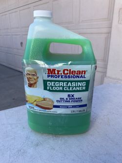 Mr. Clean Professional 