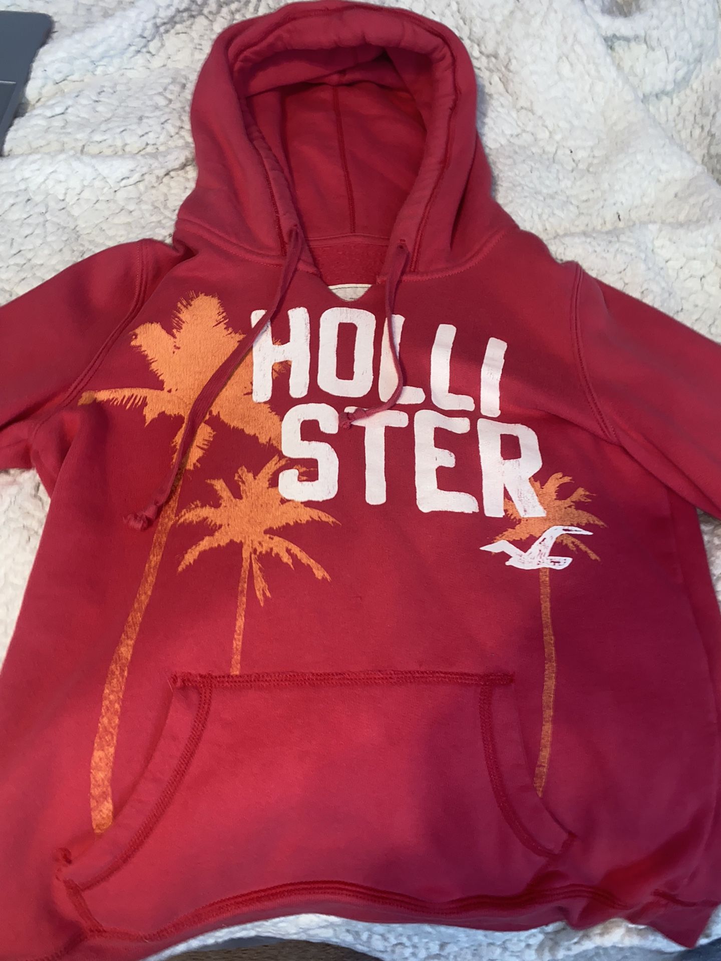 Hollister Hoodie