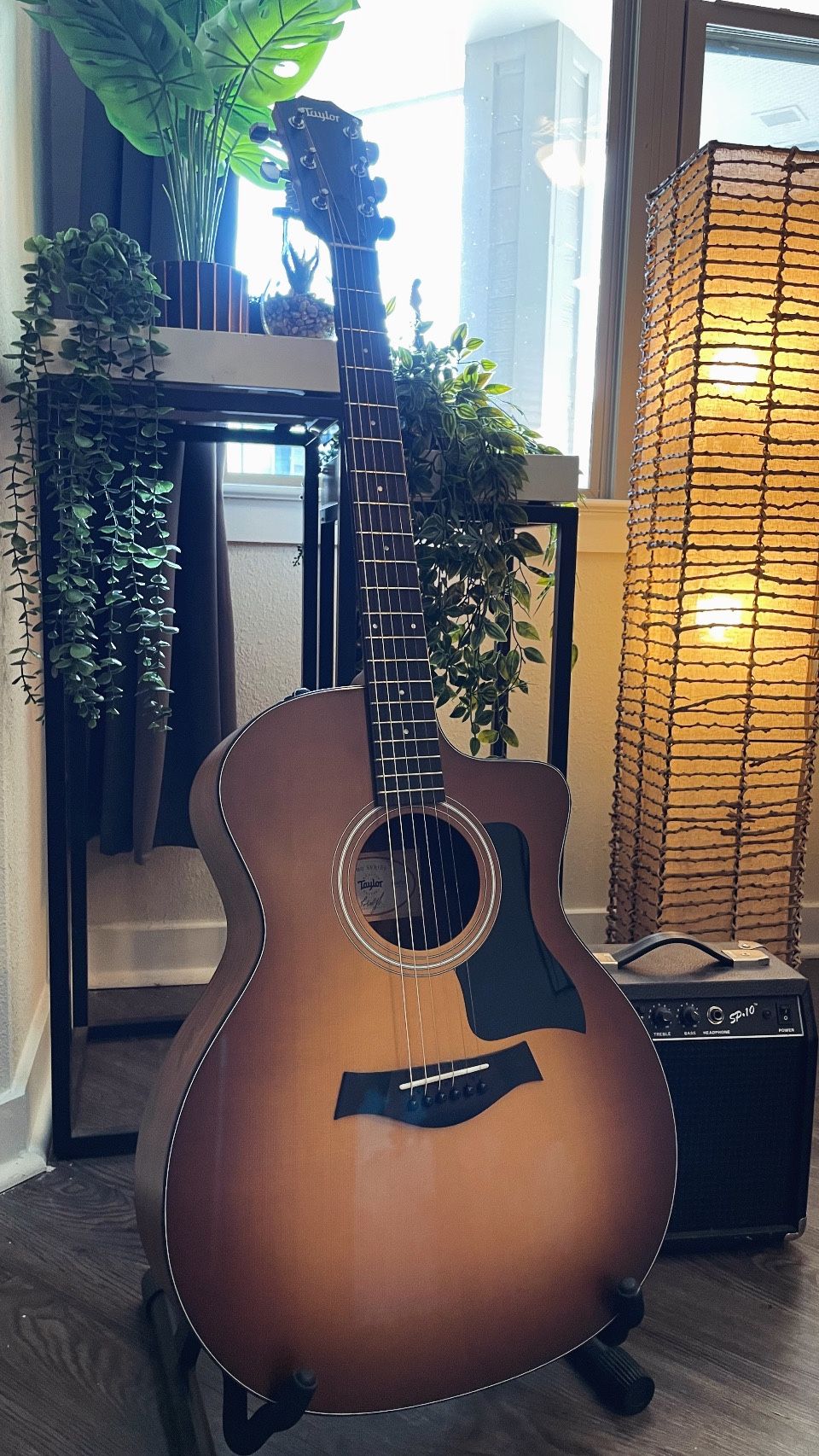 Taylor, 114ce-SB Special Edition