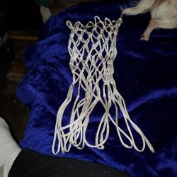 Basketball Net