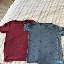 2t Boys, Dino Shirts