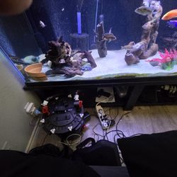 190 Ga Aquarium, Aquarium Stand, FX4 Filter