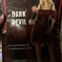 Adult Halloween Costume 