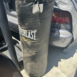 PUNCHING BAG $100