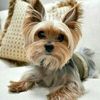 Nancy (SERIOUS BUYERS ONLY!!!!!)