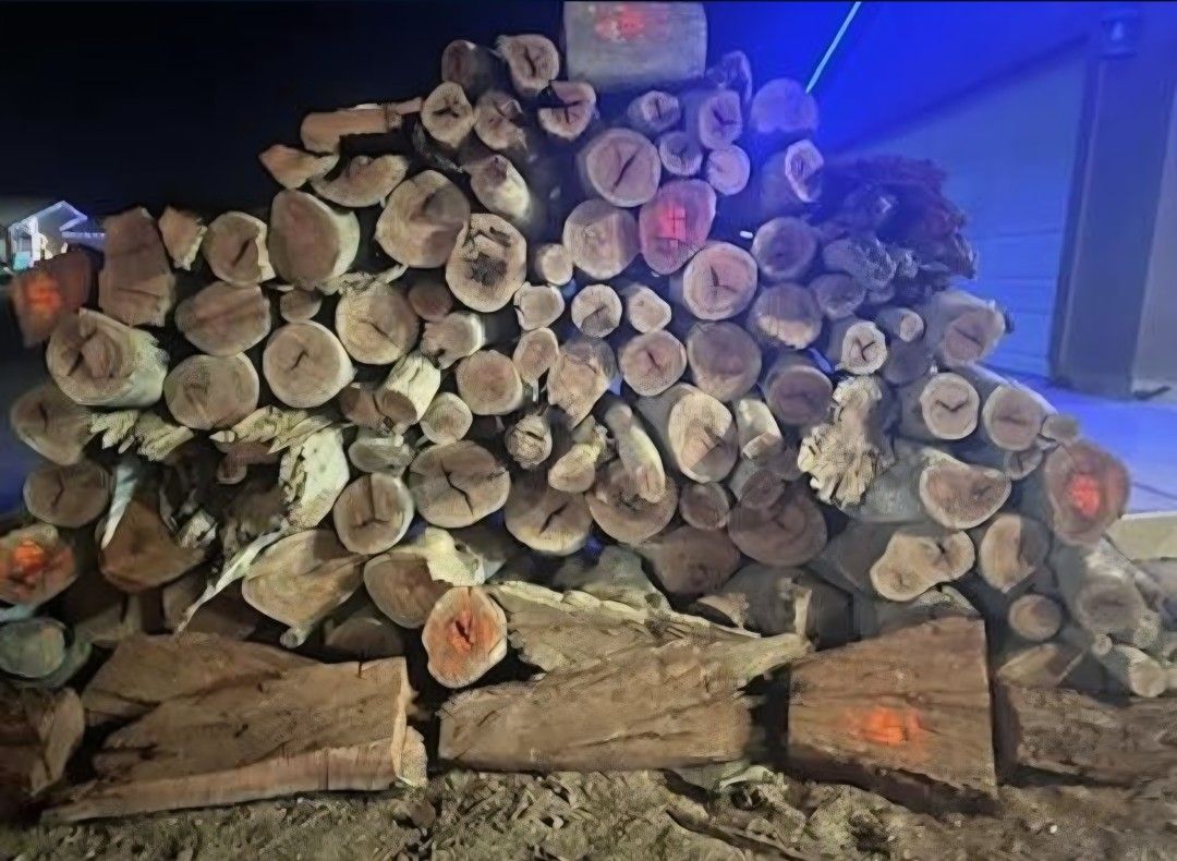 Dry Eucalyptus Firewood