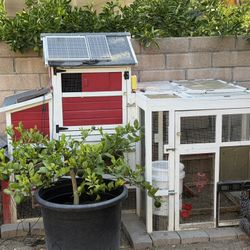 Free Chicken Coop