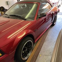 2002 Gt Mustang Convertible 