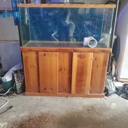 80g Aquarium