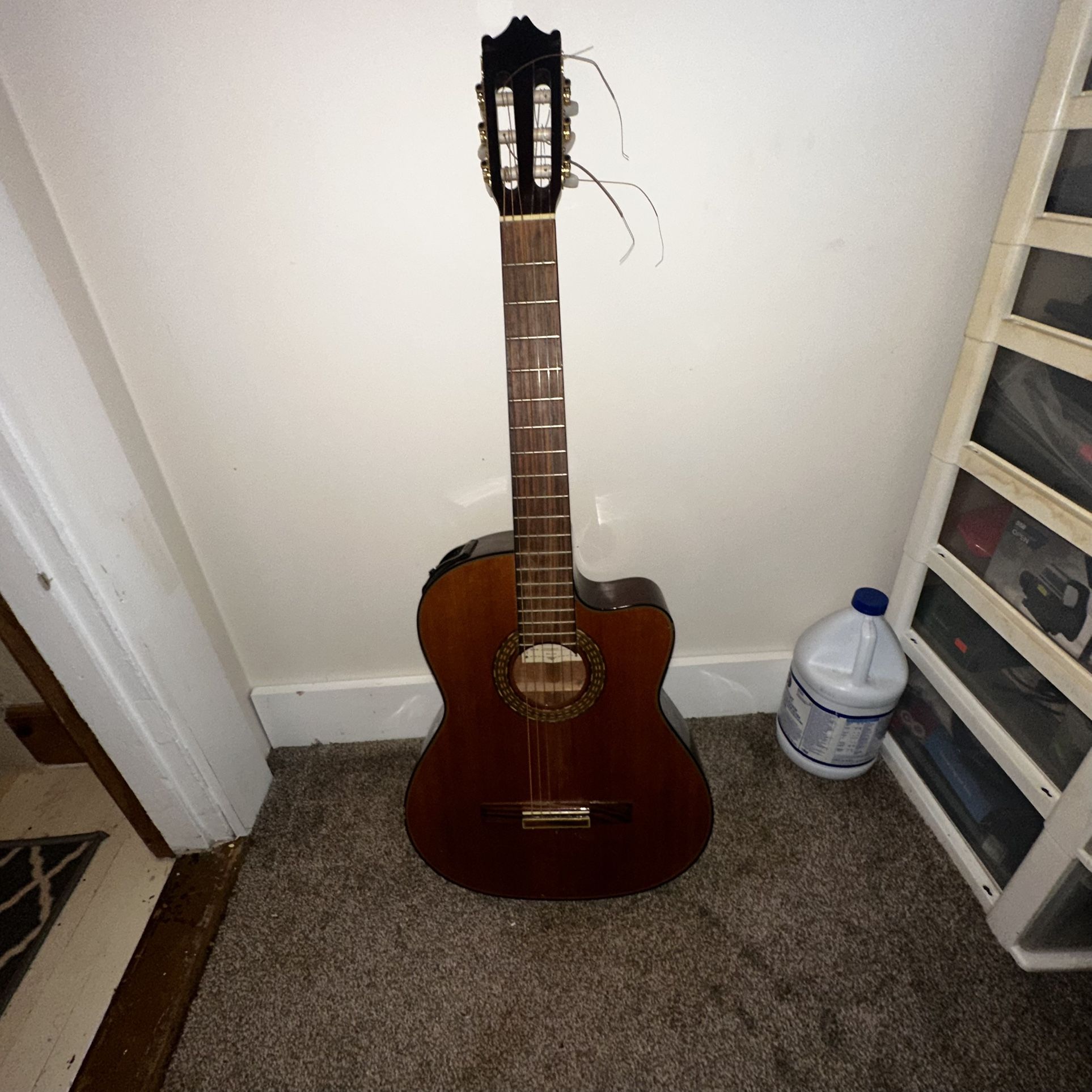 Salvador Ibanez Acoustic Guitar Model-GA60SCE-14-01