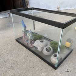 Fish Tank 
