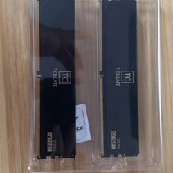 DDR5 T-CREATE RAM STICKS ( 2x 16GB)