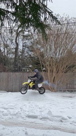 2021 Cobra Cx 65cc