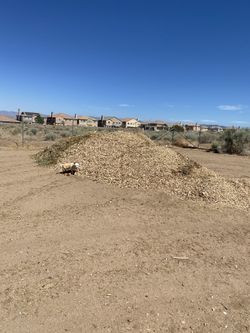 Wood Chips