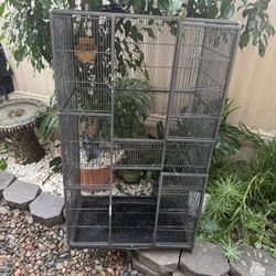 Bird Cage