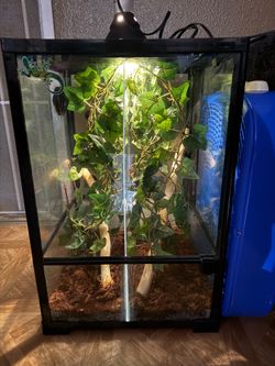 Reptile enclosure 16x16x24
