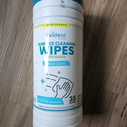 Cleaning Wipes 