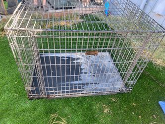 Kennels