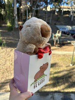Capybara Plush