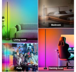 2 Pack Floor Lamp