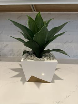 Fake Plant Pot 