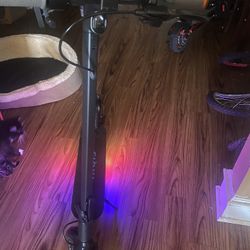 brand new adult e scooter 