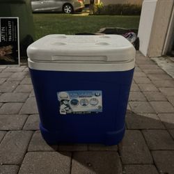 Ice Cube Igloo Cooler! $50 OBO