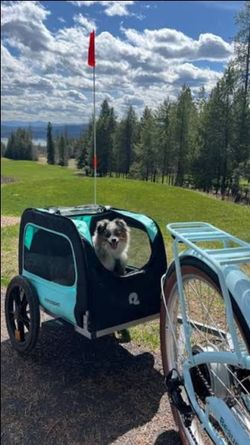 Bike Trailer - New Retrospec Rover Waggin' Pet and Dog Bike Trailer