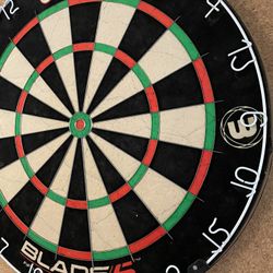 Complete Dart Board With Darts And Accessories