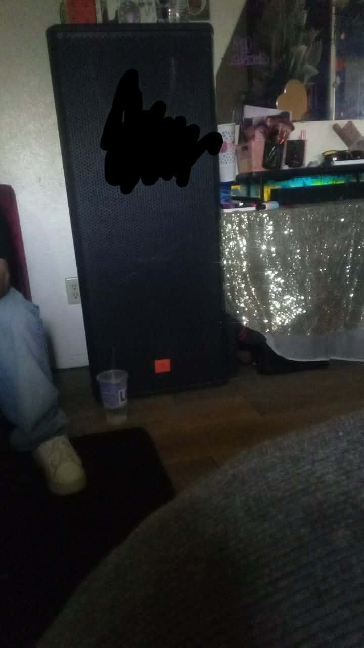 JBL DJ speaker