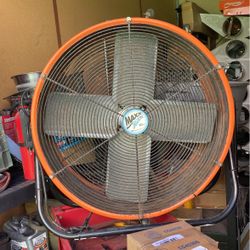 Fan 