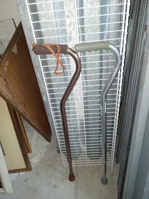 Walking Cane