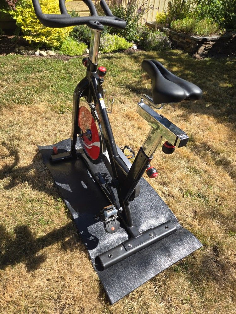 Stationary Bike Sunny