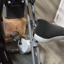 Stamina Excercise Bike