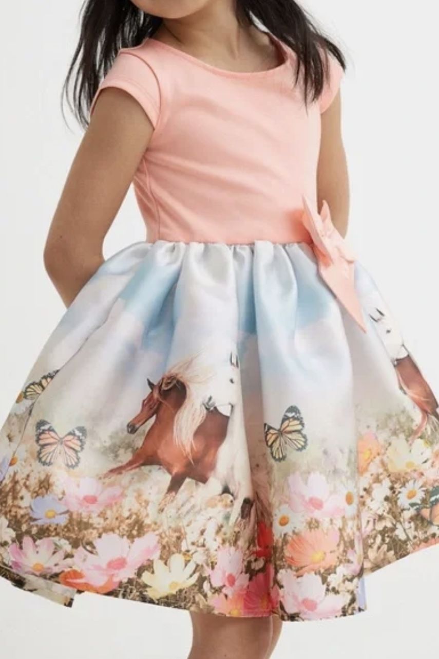 H&M  Flared  Skirt Dress Horse Unicorn Butterfly Flowers 