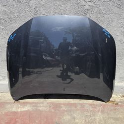 Honda accord 2023 2024 2025 2026 hood