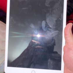 Ipad in Perfect condition