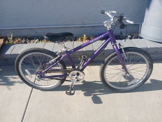 Boy's 20" priority start 3 speed belt drive Bike