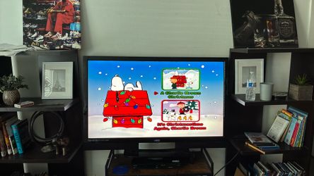 48 inch Vizio tv