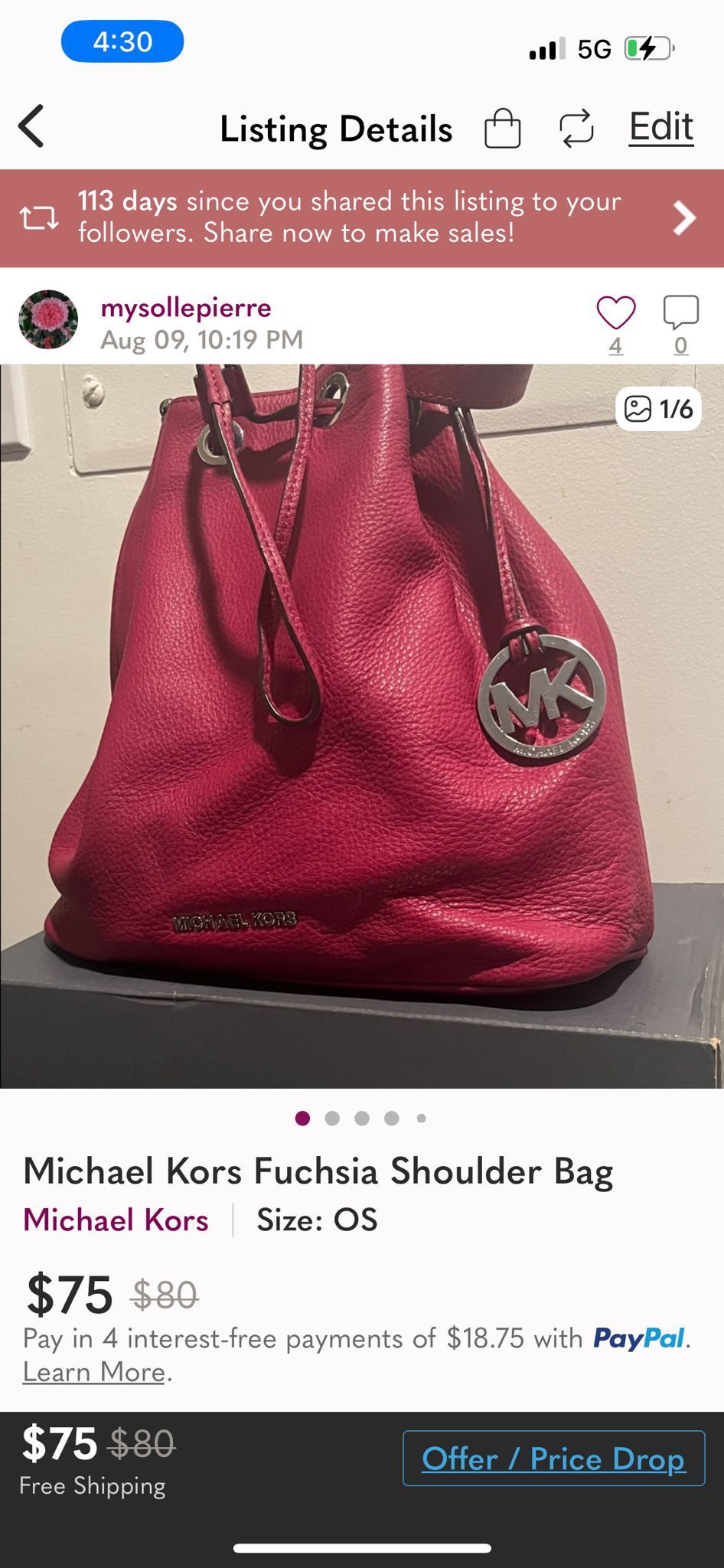 Micheal Kors Bag 