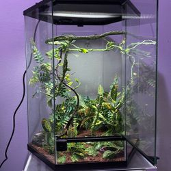 Hexagonal reptile tank 