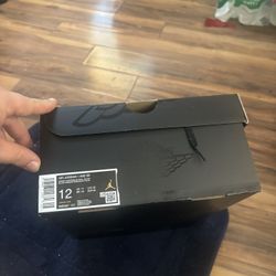 Air Jordan Size 12