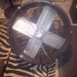 Fan