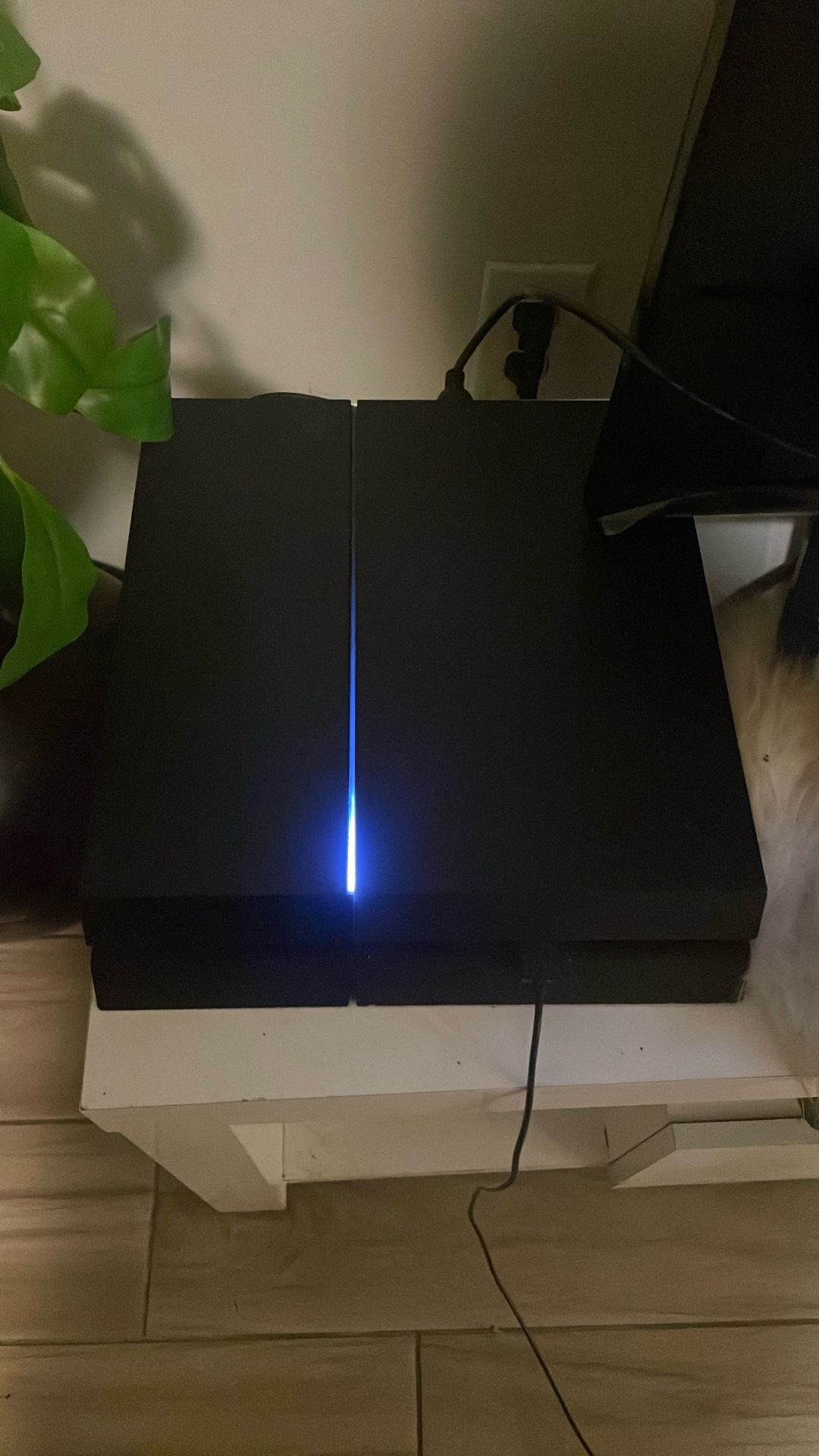 Need GONE ASAP!!(Read The Description