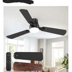 Ceiling Fan